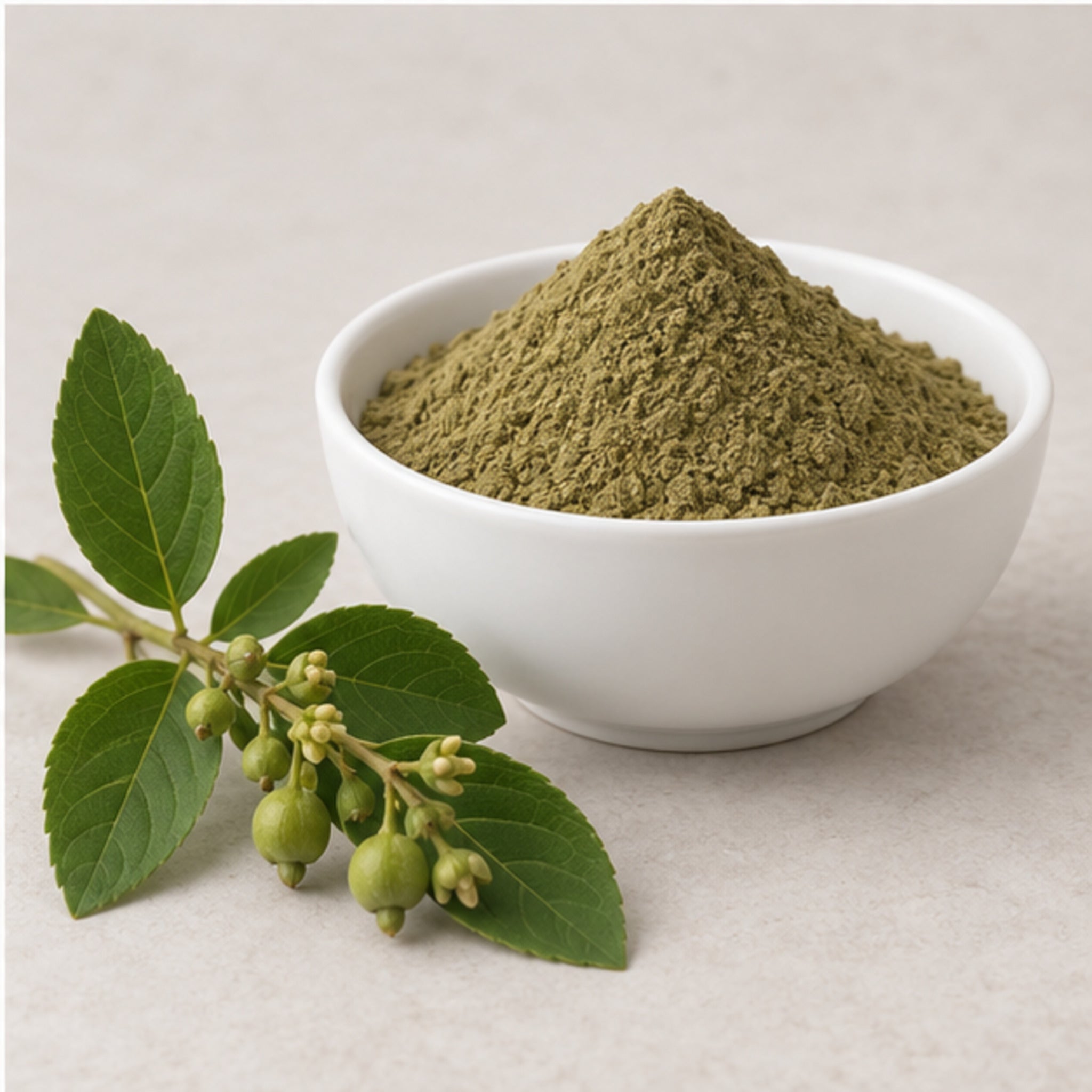 Grewia paniculata powder with botanical material