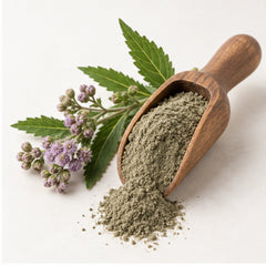 Indian Marsh Fleabane Powder 100g Pluchea indica image 2
