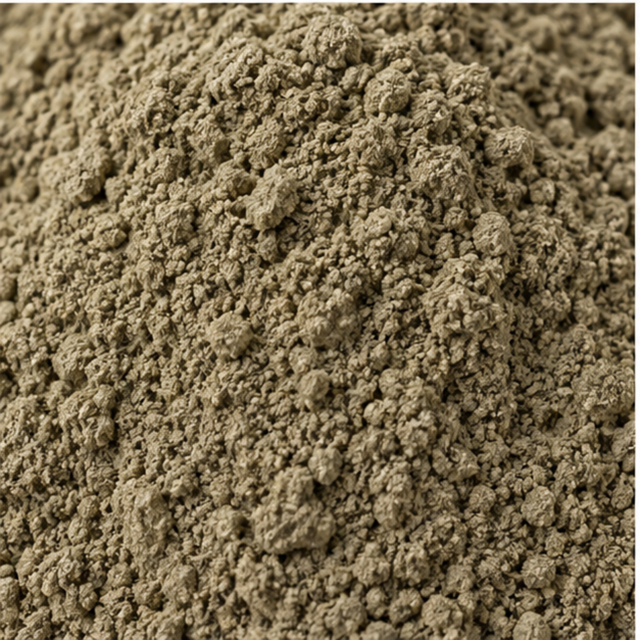 Indian Marsh Fleabane Powder 100g Pluchea indica image 3