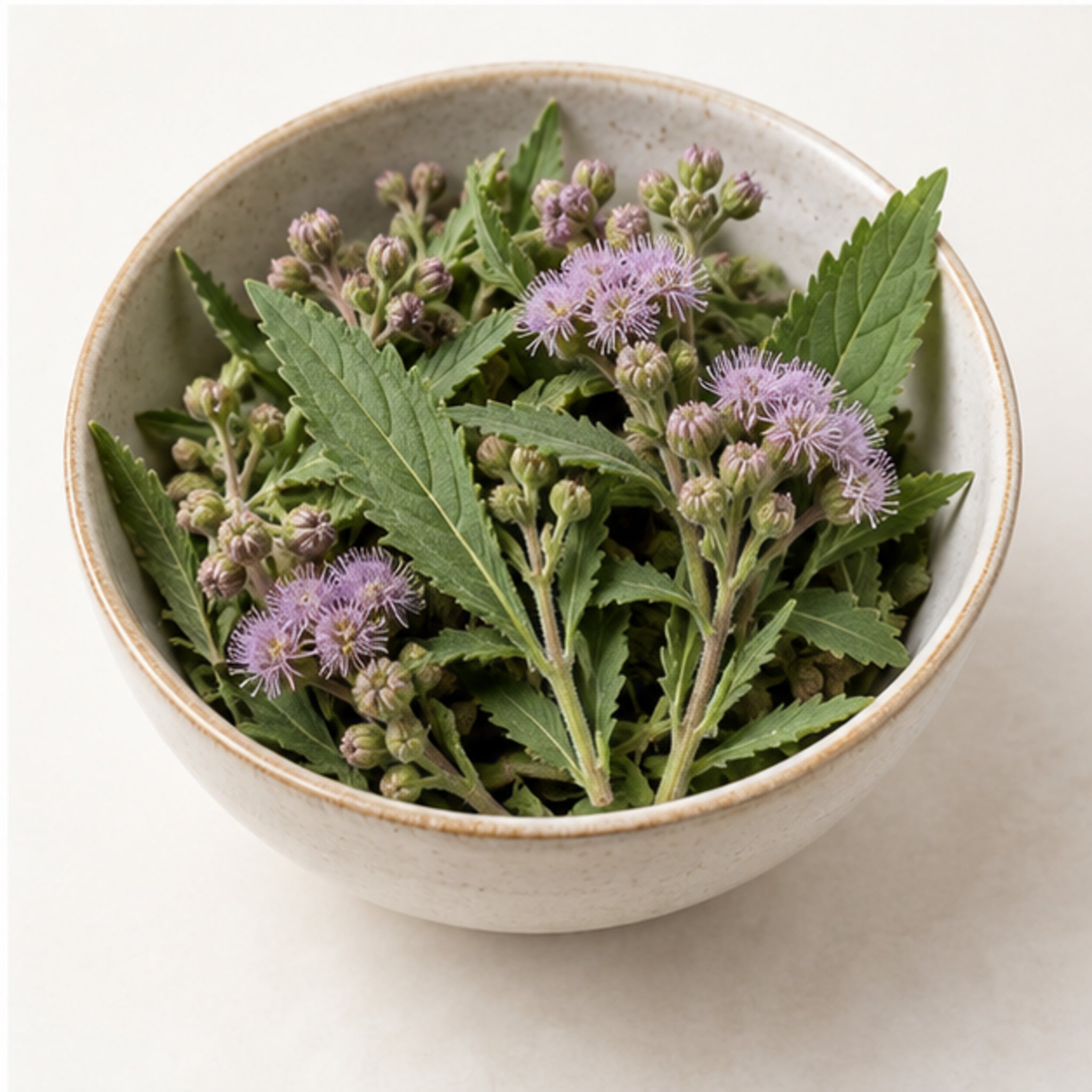 Indian Marsh Fleabane Powder 100g Pluchea indica image 4