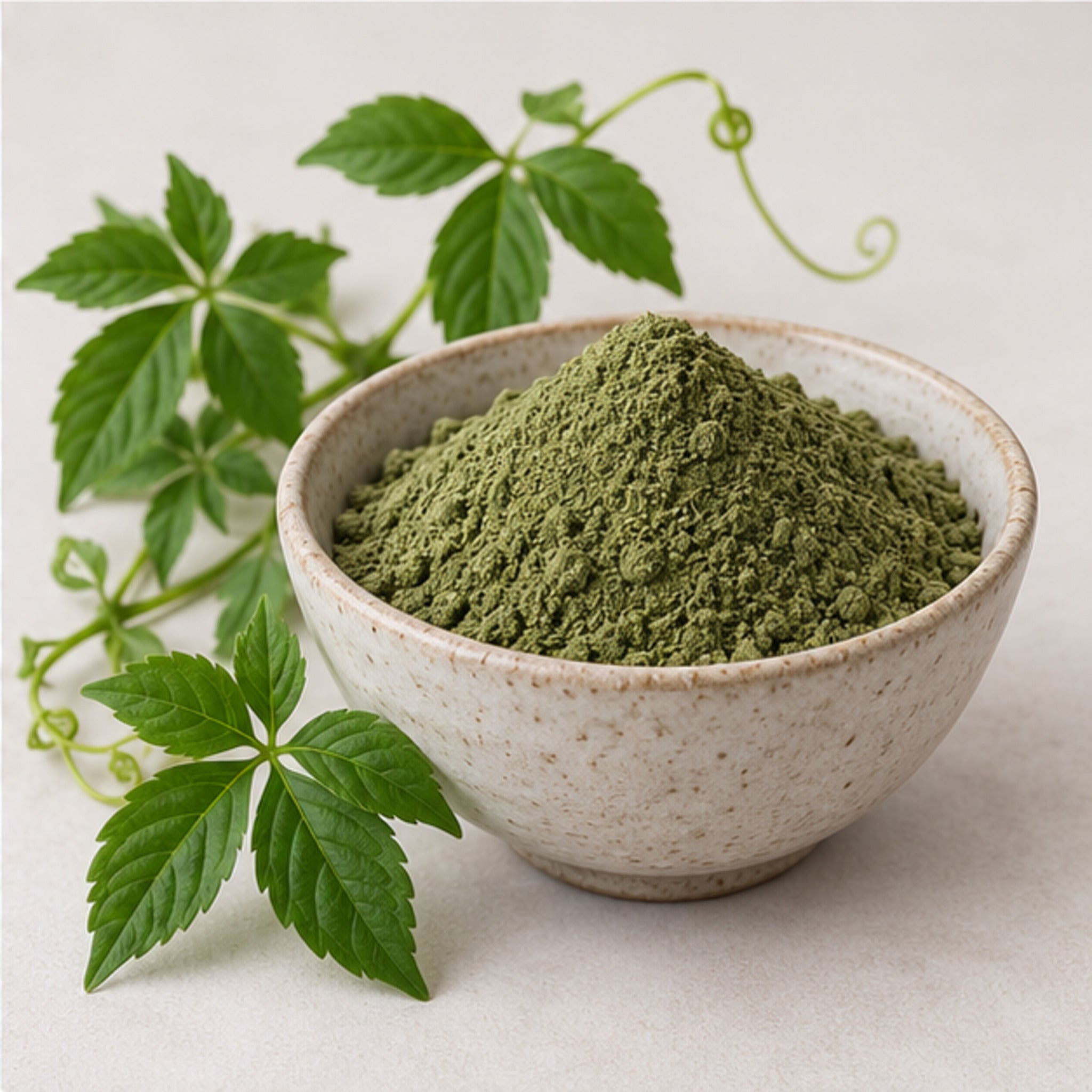 Jiaogulan Gynostemma powder with botanical material