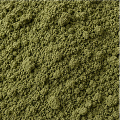 Close-up of Jiaogulan Gynostemma powder