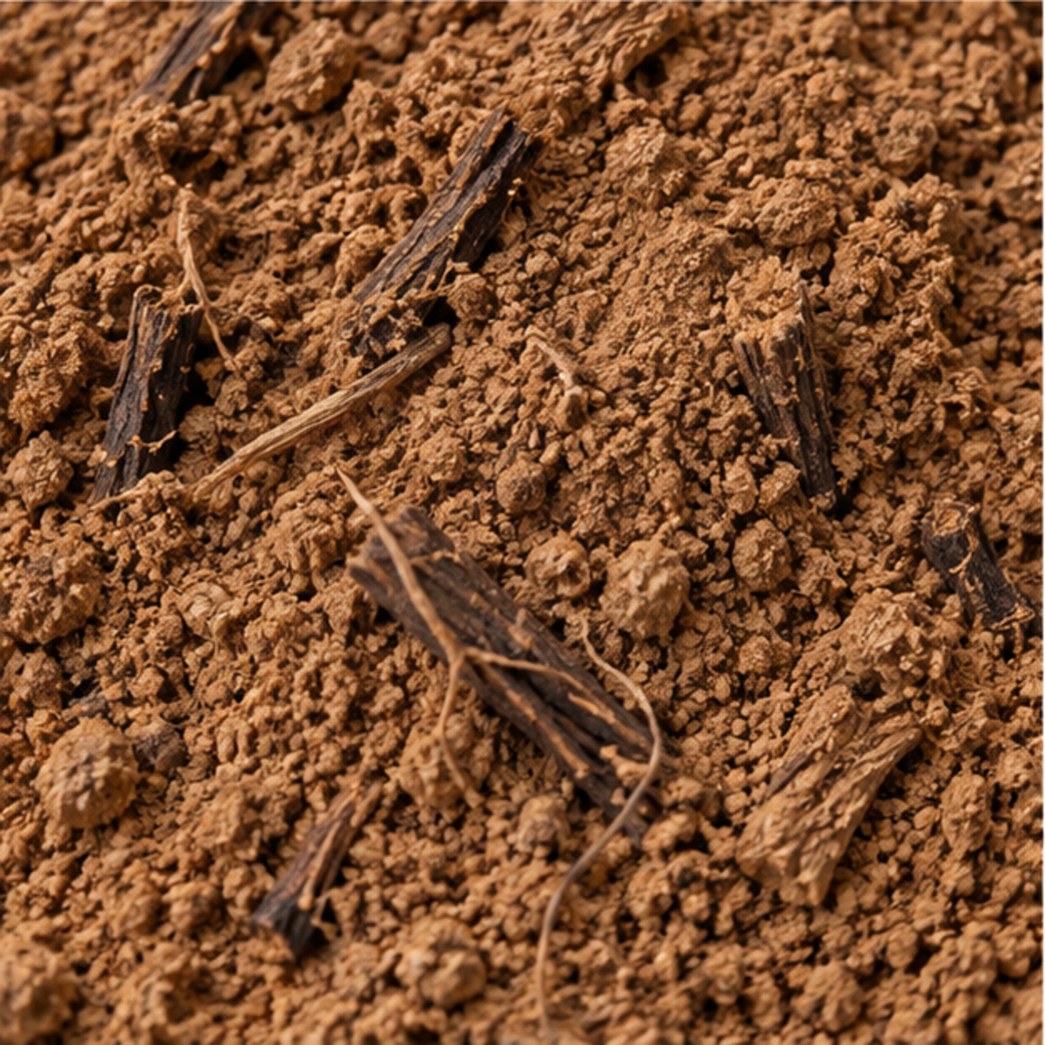 Close-up of Molineria latifolia powder