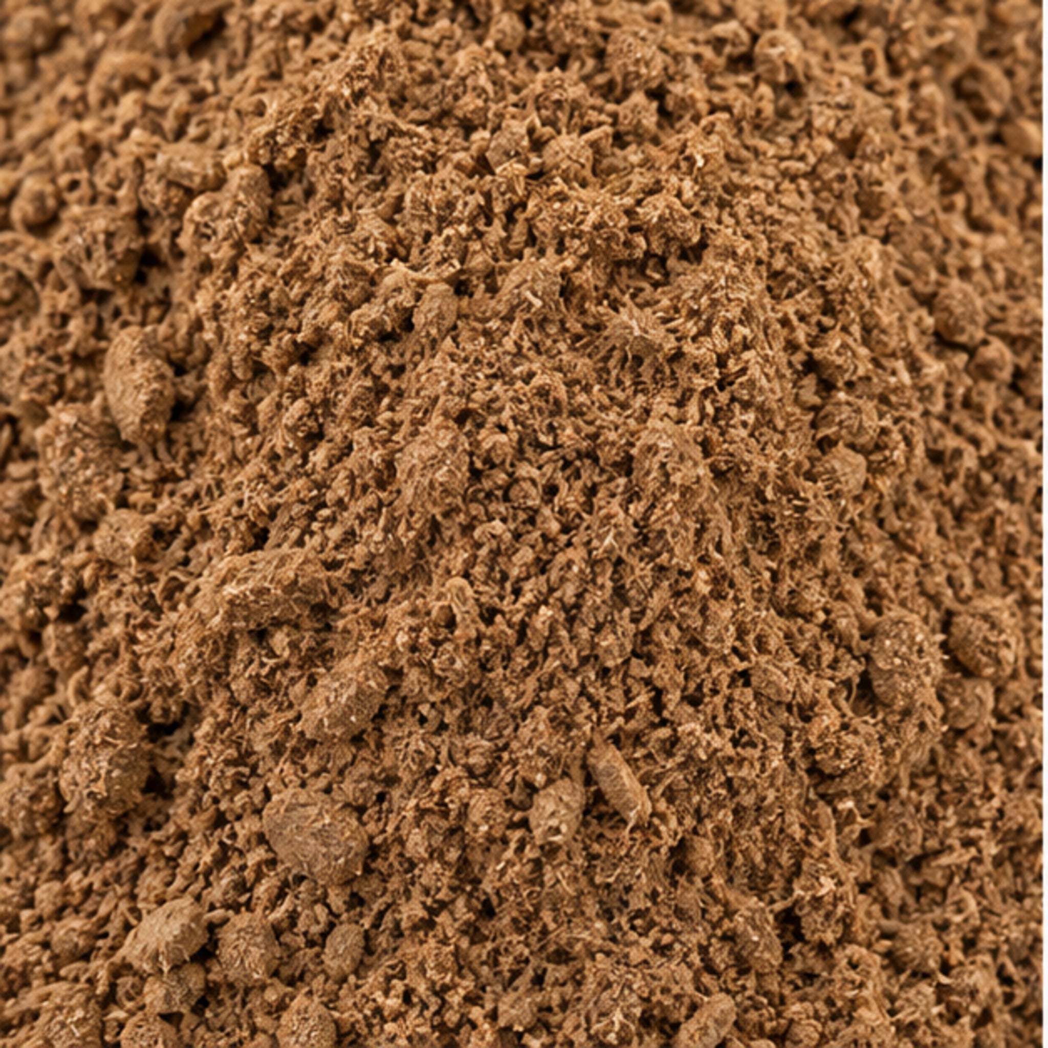 Ficus foveolata Powder 100g image 3