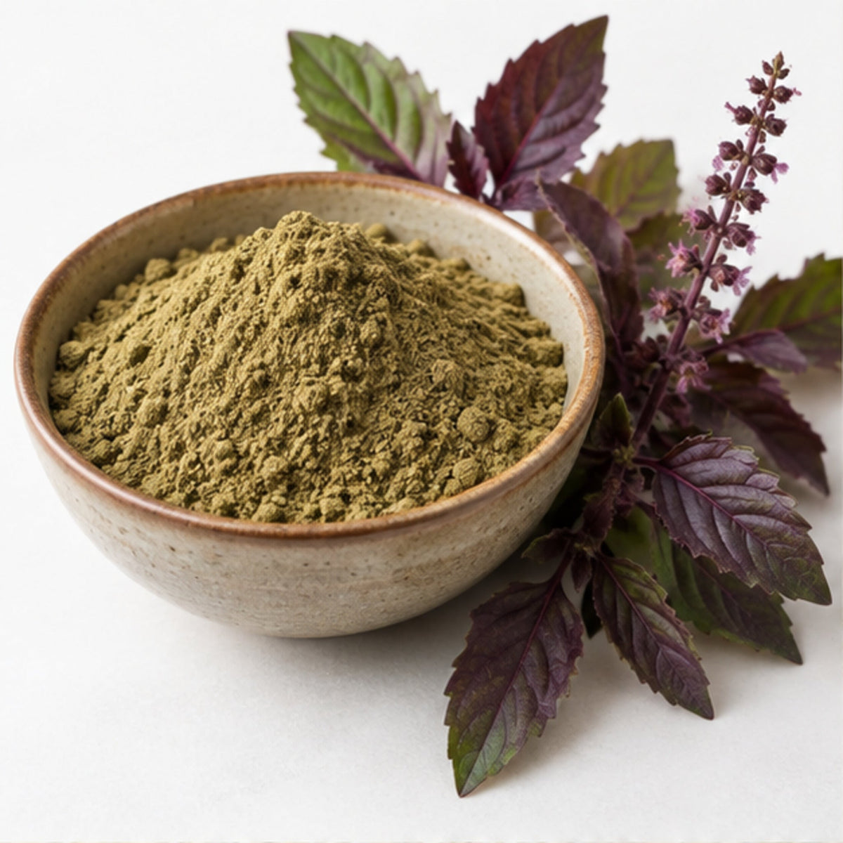 Red Holy Basil Powder 100g | Ocimum tenuiflorum image 1