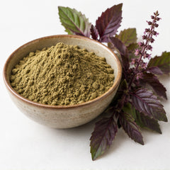 Red Holy Basil Powder 100g | Ocimum tenuiflorum image 1