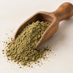 Red Holy Basil Powder 100g | Ocimum tenuiflorum image 2