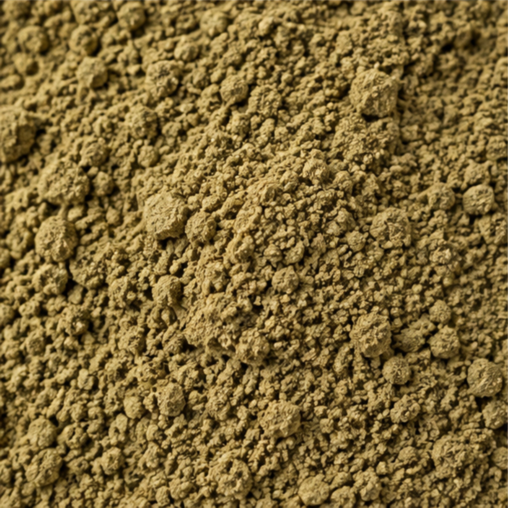 Red Holy Basil Powder 100g | Ocimum tenuiflorum image 3