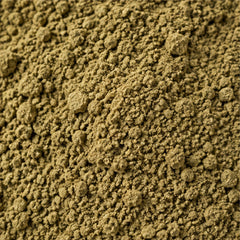 Red Holy Basil Powder 100g | Ocimum tenuiflorum image 3