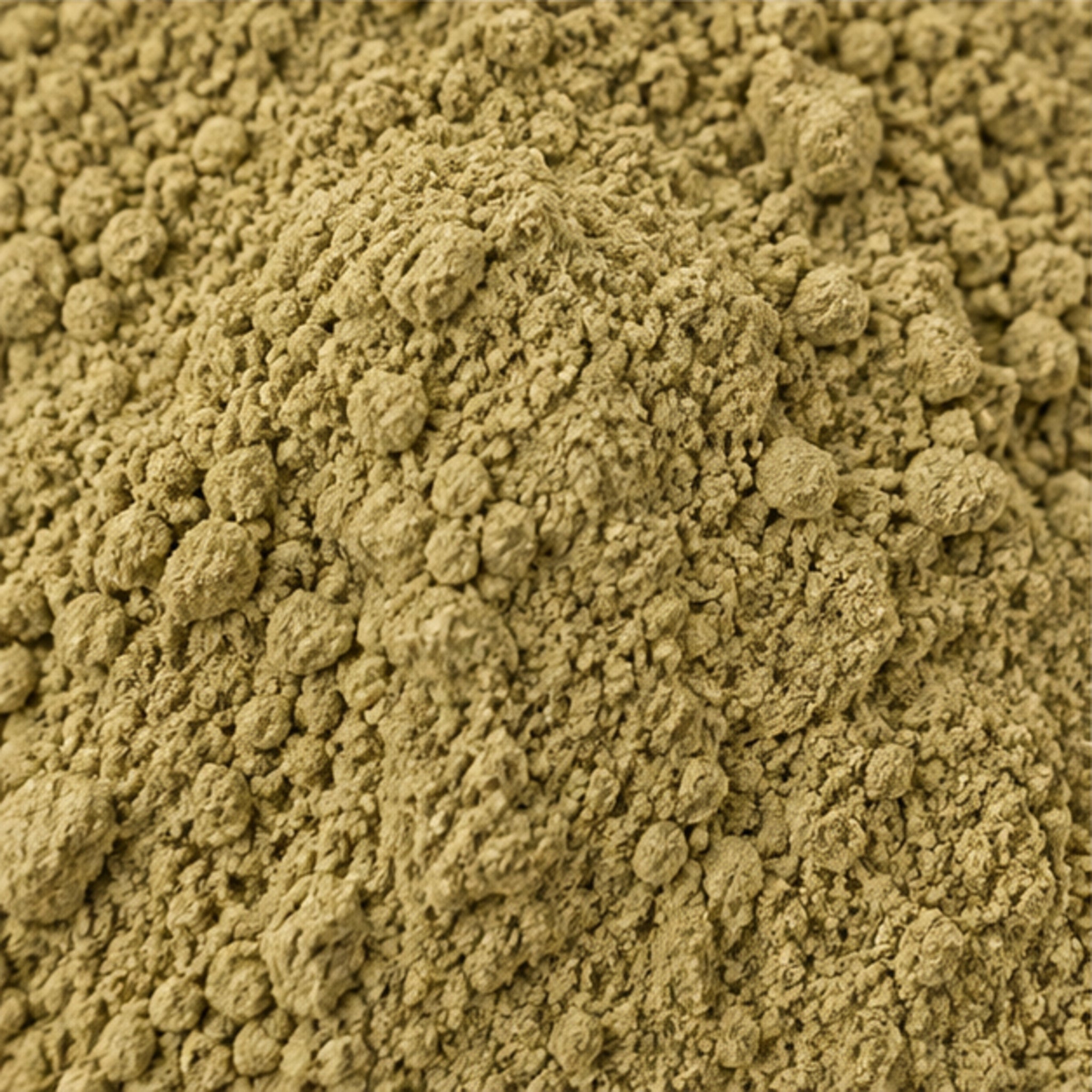 Streblus Asper Powder 100g | Koi Thai Botanical Powder image 3