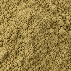 Streblus Asper Powder 100g | Koi Thai Botanical Powder image 3
