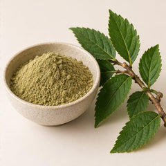 Streblus Asper Powder 100g | Koi Thai Botanical Powder image 4