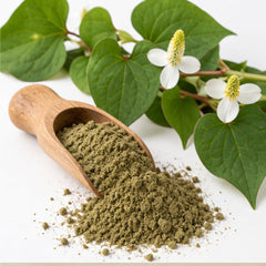 Houttuynia Cordata Powder 100g image 2
