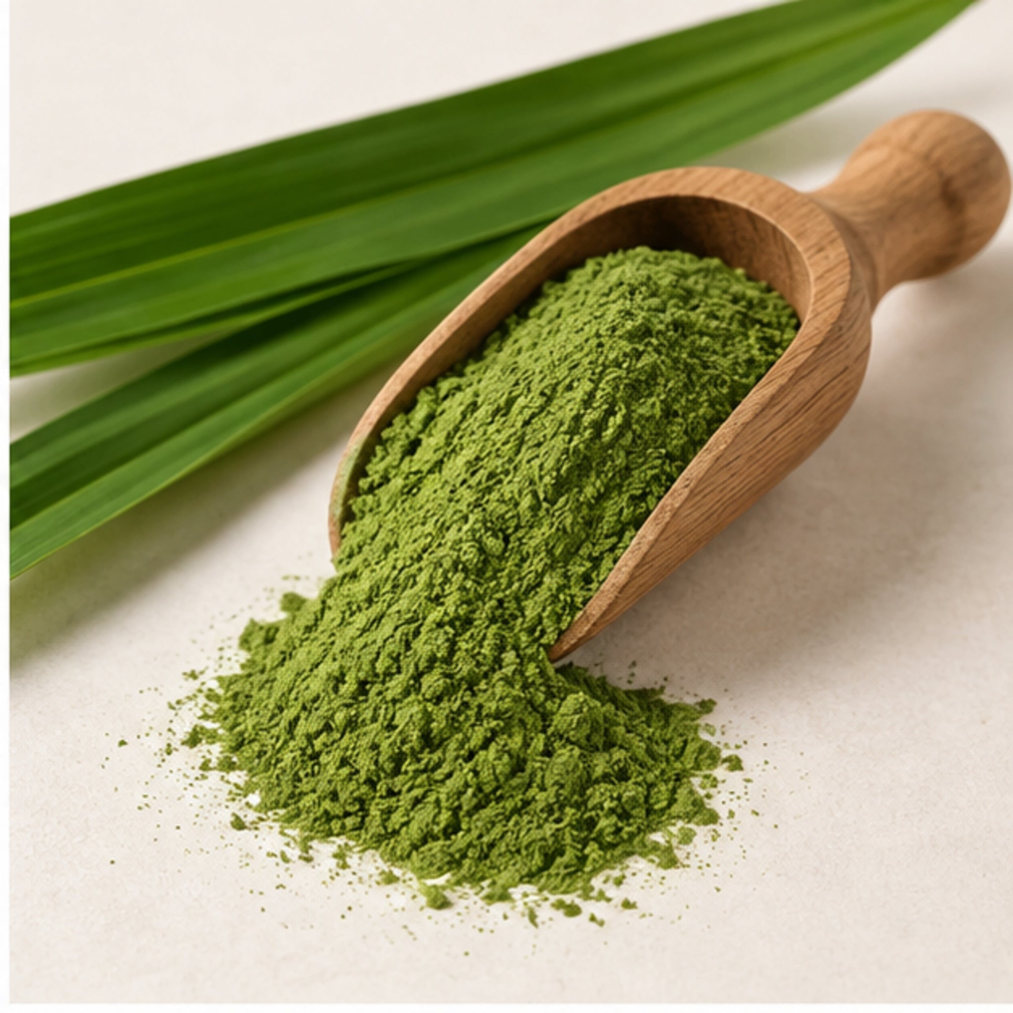 Pandan Leaves Powder 100g. Pandanus amaryllifolius image 2