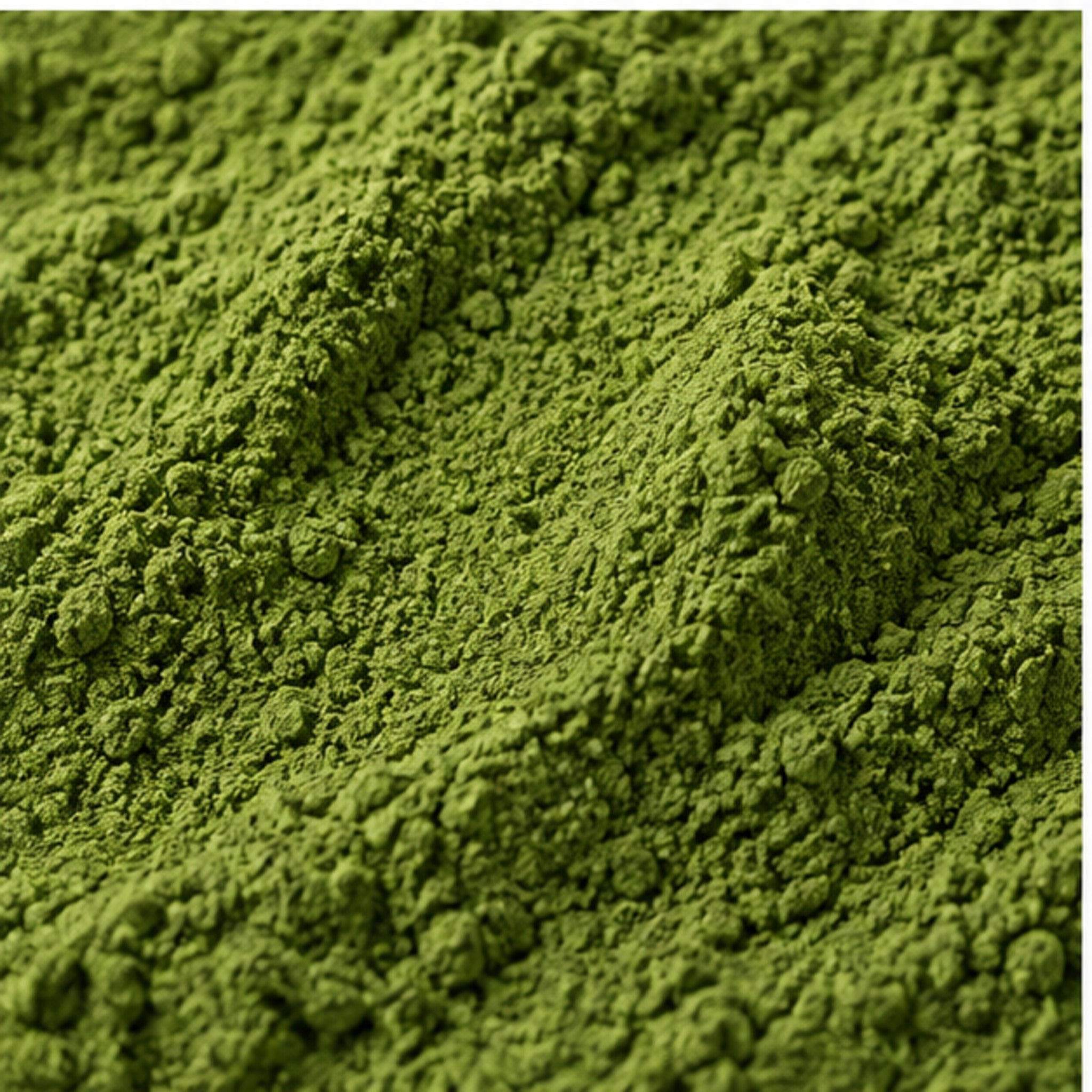 Pandan Leaves Powder 100g. Pandanus amaryllifolius image 3