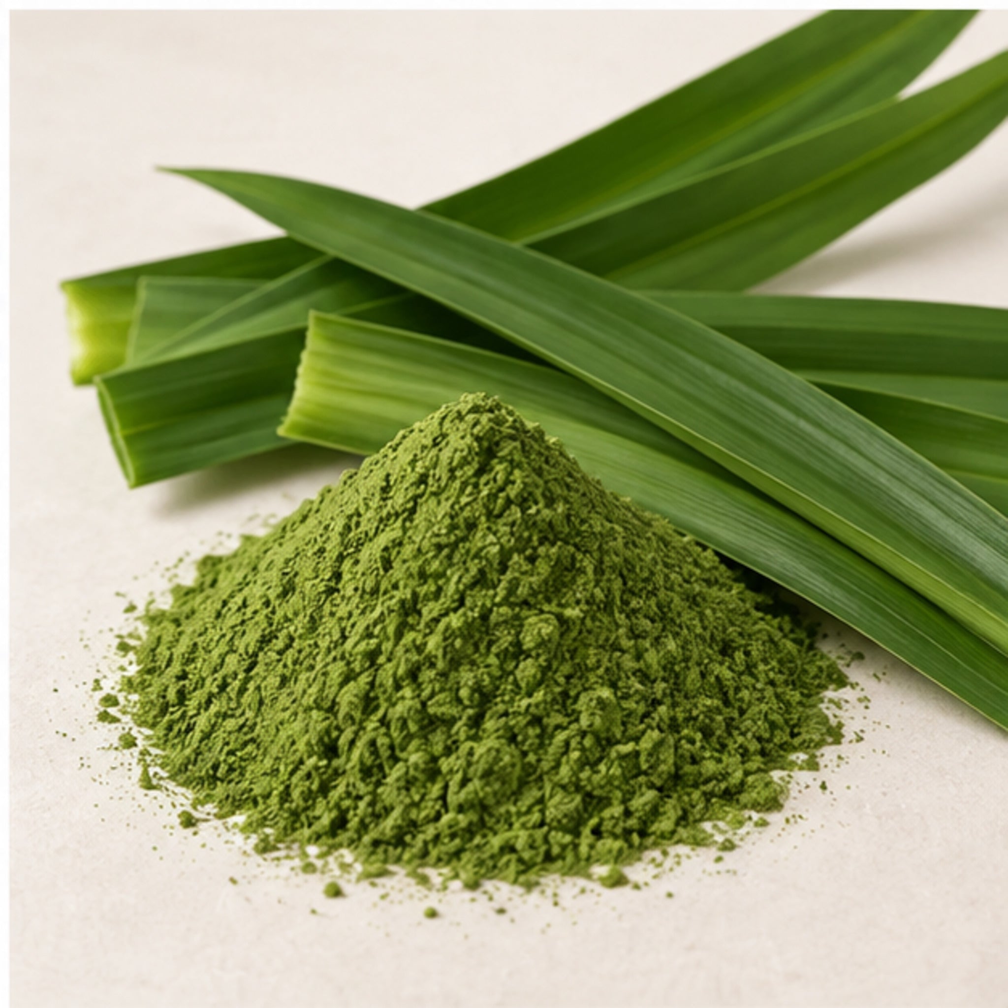 Pandan Leaves Powder 100g. Pandanus amaryllifolius image 4