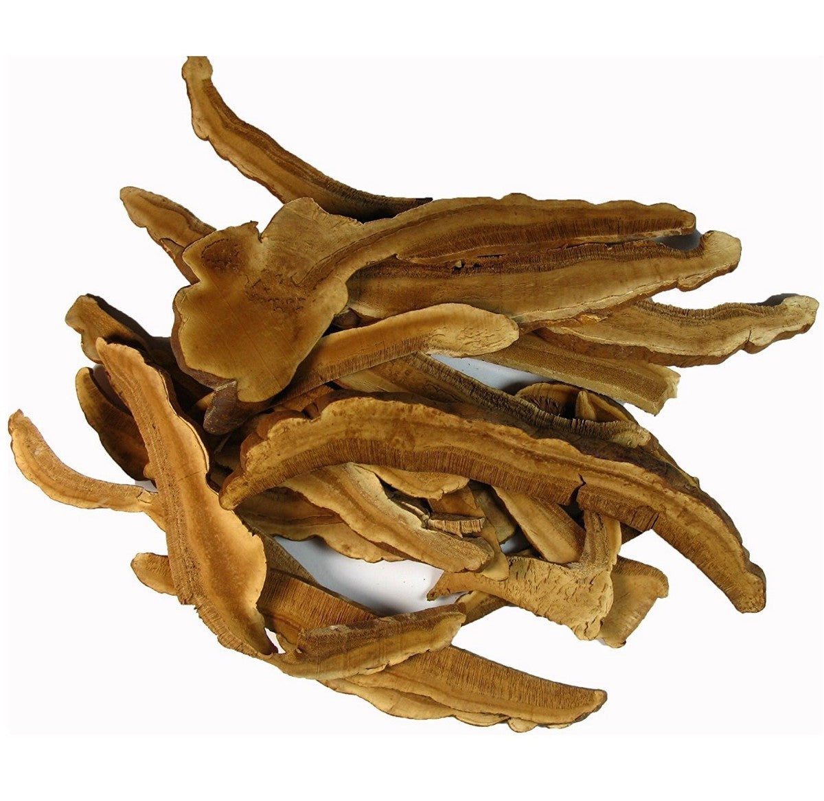 Dried Lingzhi Mushroom 100g.