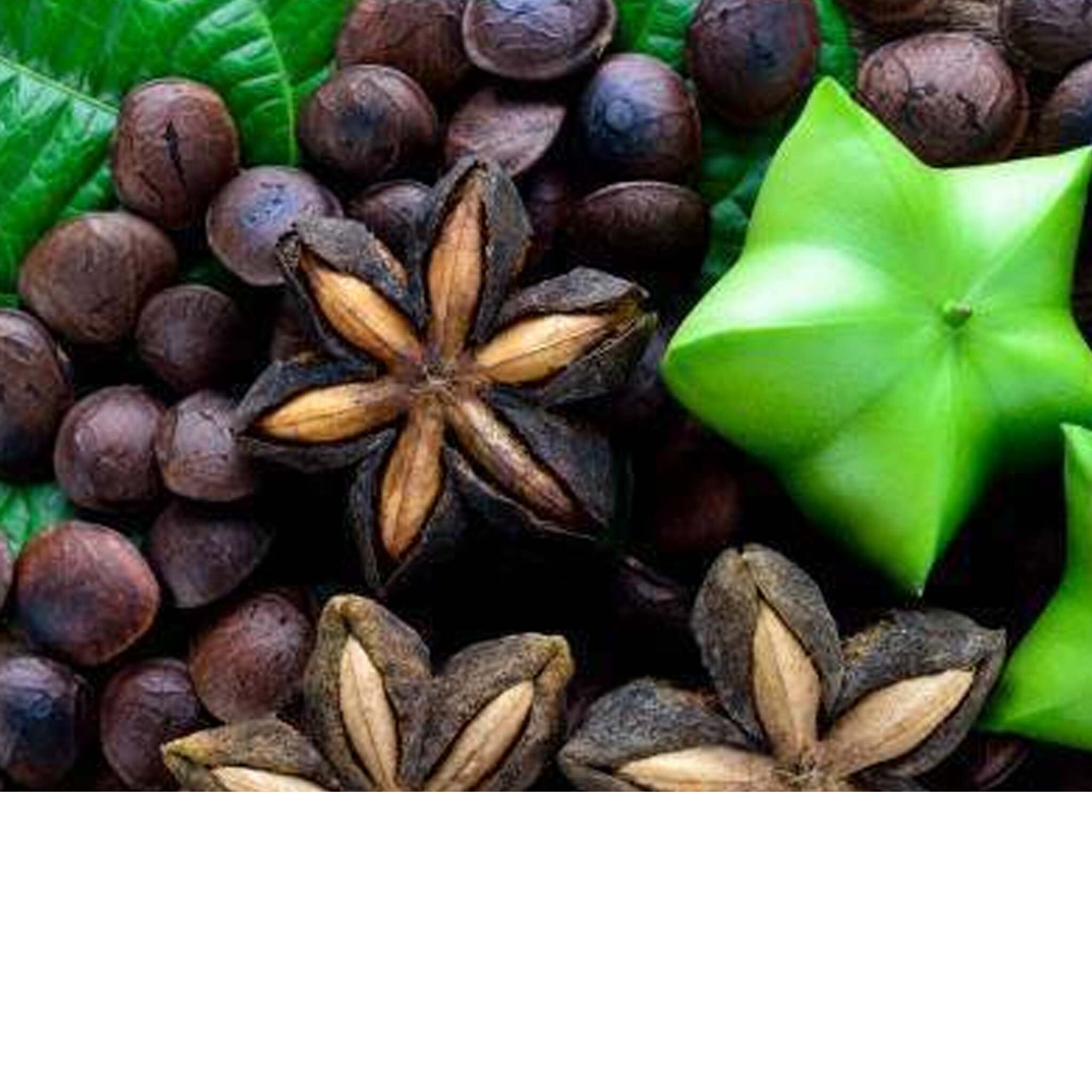 Sacha Inchi fruit and seeds