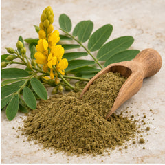 Senna alata leaf powder with wooden scoop and botanical material