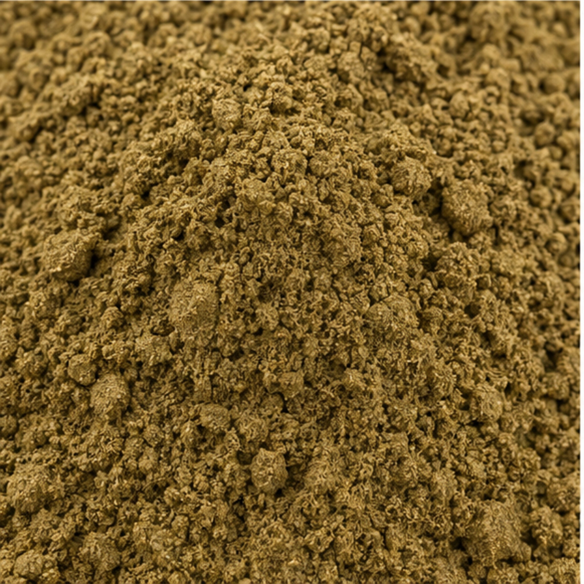 Close-up of Senna alata leaf powder