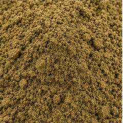 Close-up of Senna alata leaf powder
