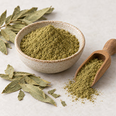 Senna garrettiana leaf powder with dried leaves