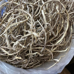 Dried Asparagus Racemosus Willd 100g. known as Shatavari or Rag Samsib