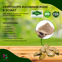 Cryptolepis buchanani Roem.&Schult (Cryptolepis dubia) Powder, Cryptolepis Dubia Powder Extract 60g. EMPEROR HERBS® · Increases blood circulation · Hepatoprotective activity · Muscle relaxant · Pain relieve