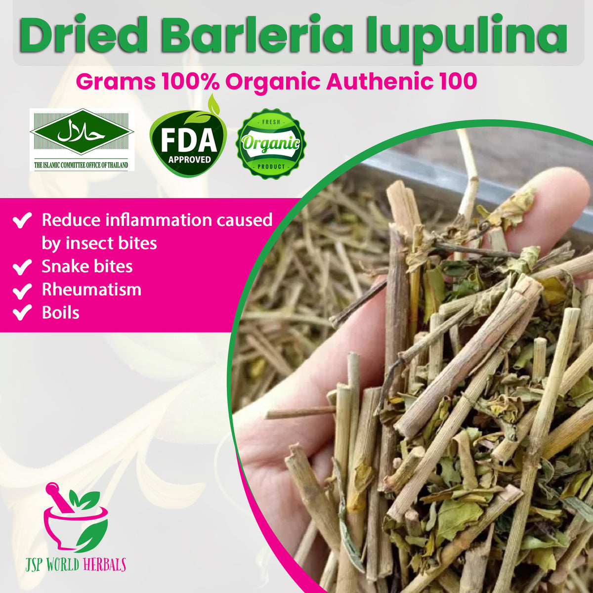 Dried Barleria lupulina product photo