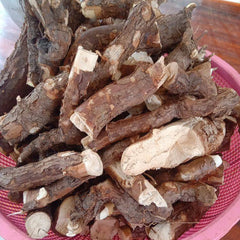 Dried Trigonostemon 100 Grams 100% Organic Authenic