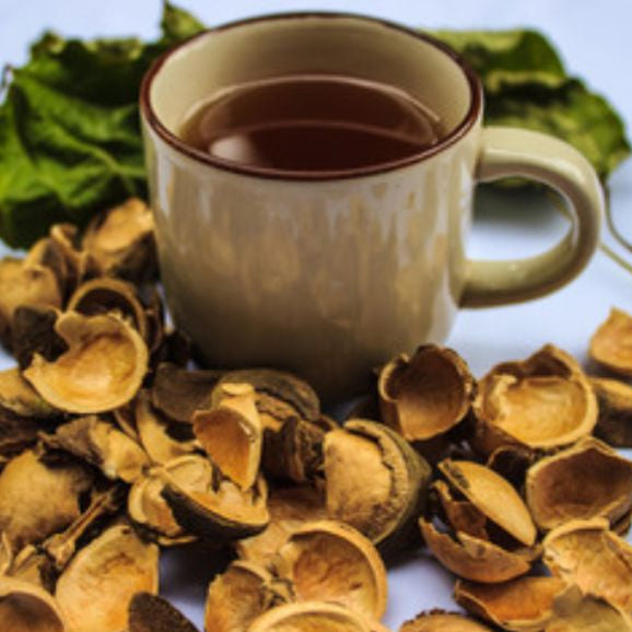 Dried Plukenetia volubilis Sacha inchi 100g.