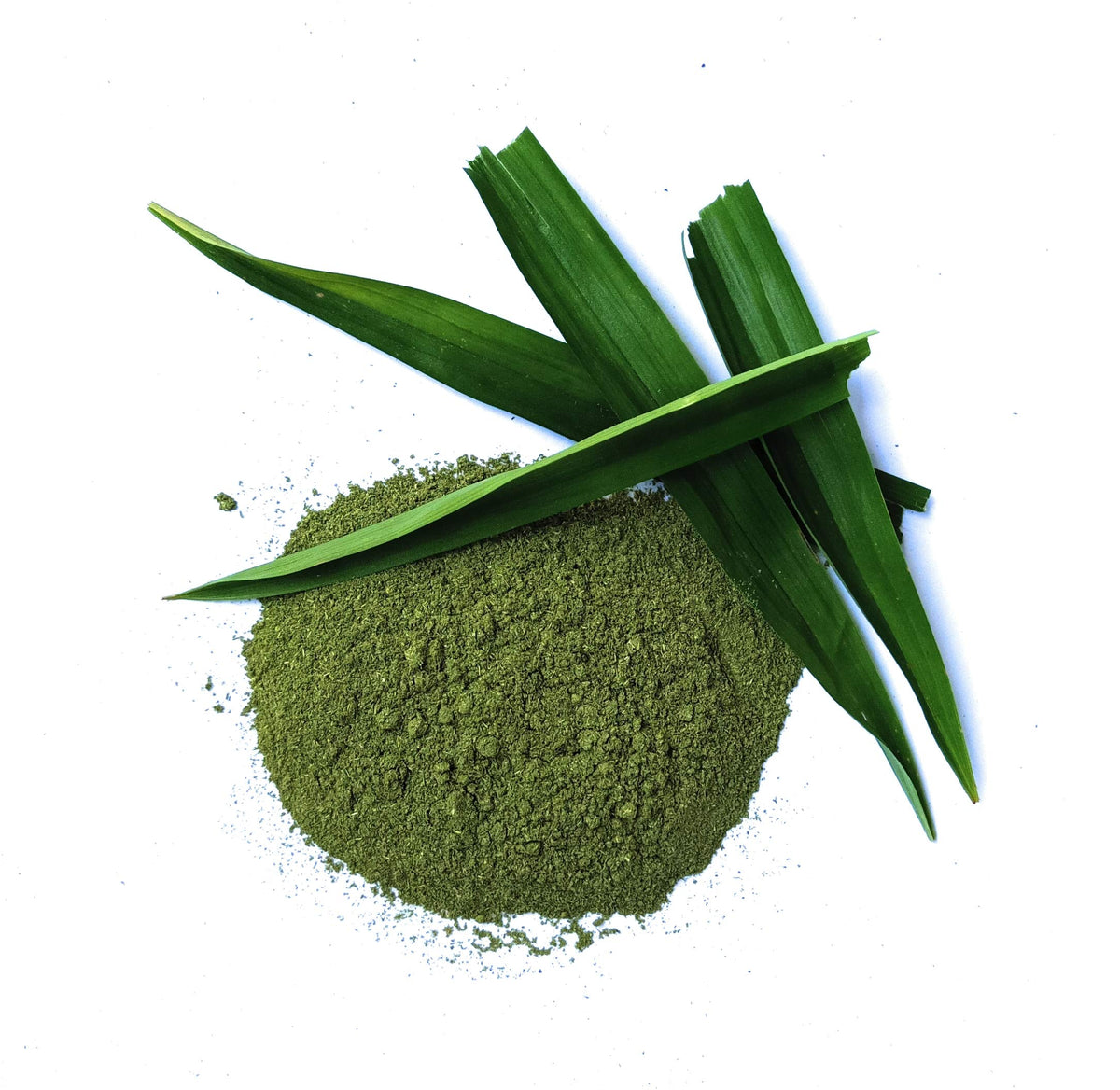 Pandan Leaf Powder 100g. Pandanus Amaryllifolius Leaves