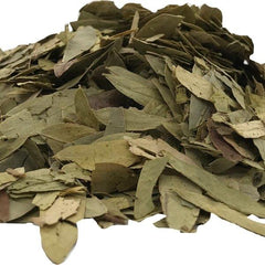 Dried Senna alexandrina P. Miller Leaves 100 Grams 100% Organic Authenic