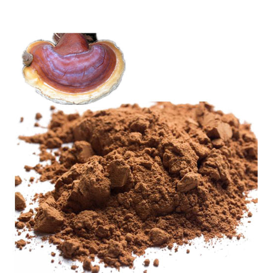 Red Reishi Powder 100g. Ganoderma Lucidum