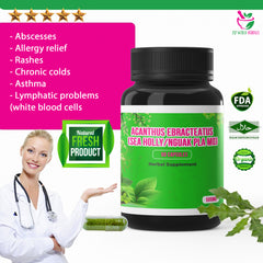 500mg Acanthus Ebracteatus (Sea Holly/Nguak Pla Mo) 90 Capsules