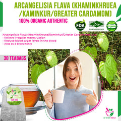 Arcangelisia Flava (Khaminkhruea/Kaminkur/Greater Cardamom) 30 Teabags