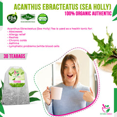 Acanthus Ebracteatus (Sea Holly) 30 Teabags