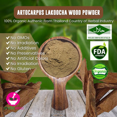 Artocarpus Lakoocha Wood Powder