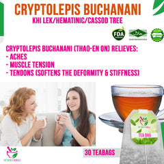 Cryptolepis Buchanani (Thao-en On) 30 Teabags