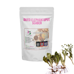 Dried Elephantopus scaber 100 Grams 100% Organic Authenic