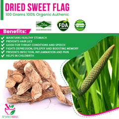 Dried Sweet flag 100 Grams 100% Organic Authenic