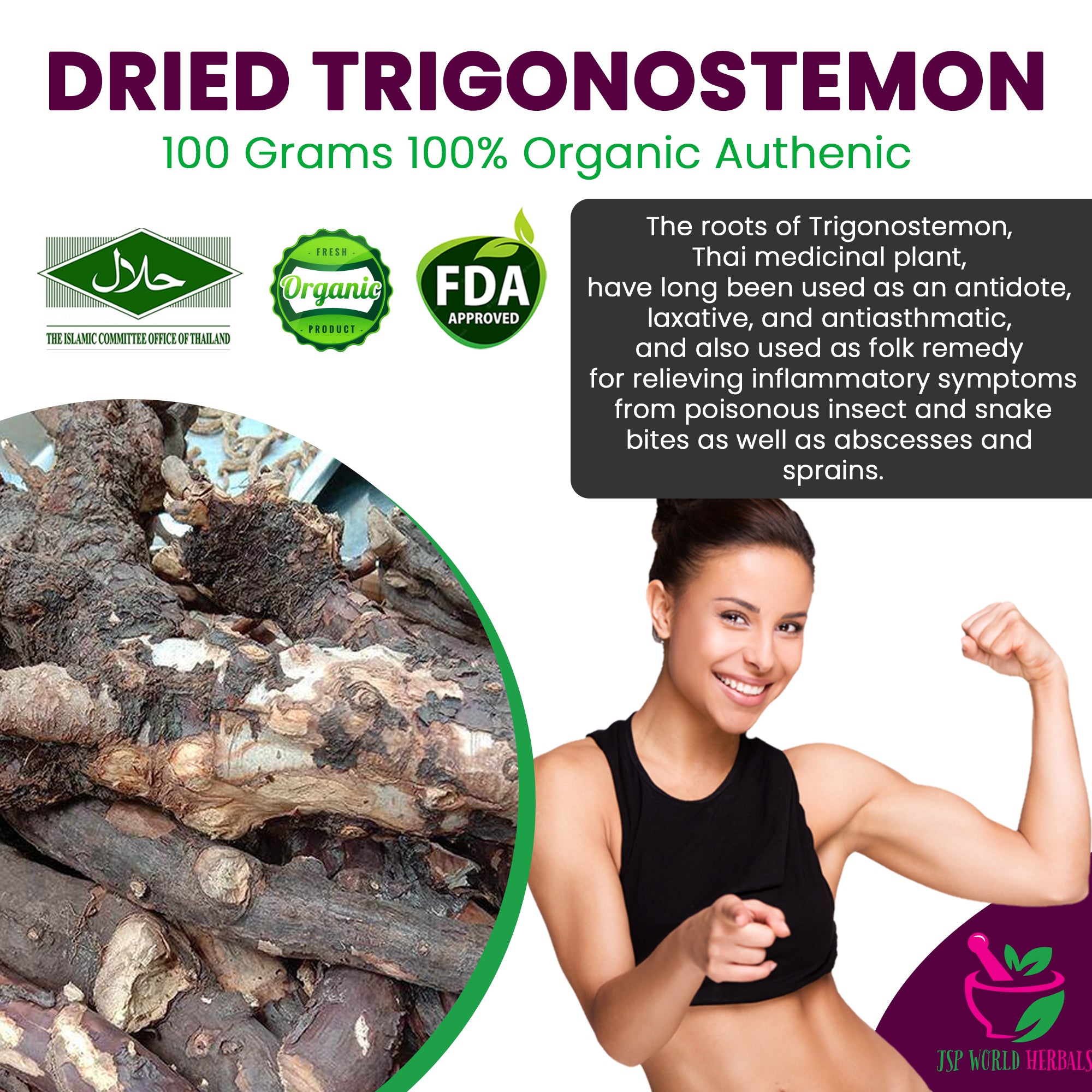 Dried Trigonostemon 100 Grams 100% Organic Authenic