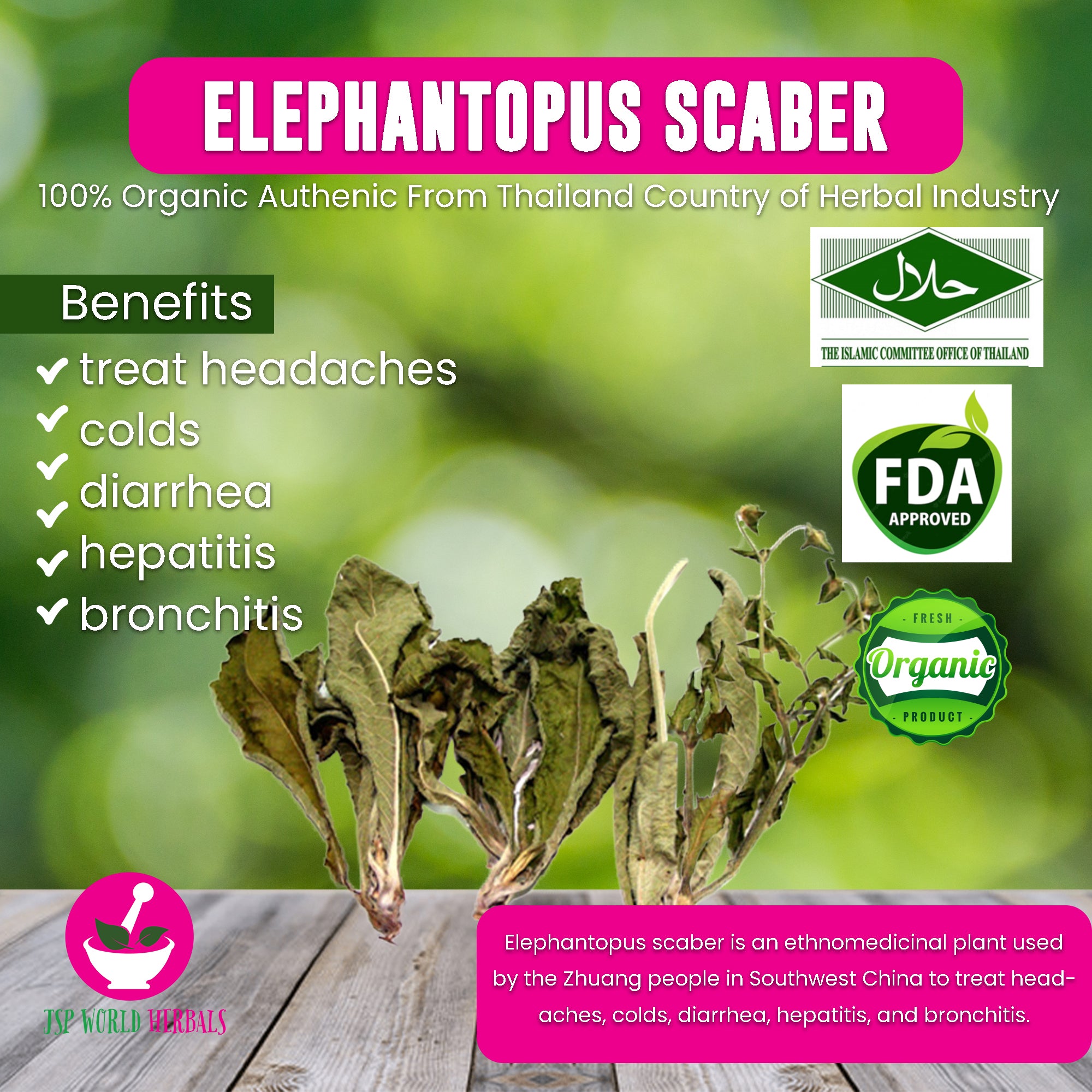 Elephantopus scaber 100 Grams 100% Organic Authenic