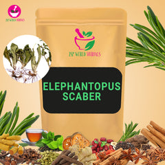 Dried Elephantopus scaber 100 Grams 100% Organic Authenic