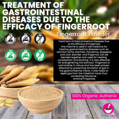 Fingerroot Powder 100 Grams 100% Organic Authenic