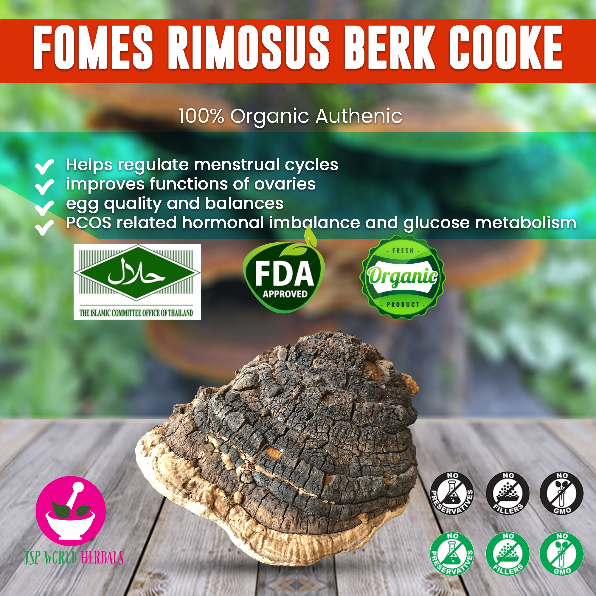 Fomes rimosus Berk Cooke 100 Grams 100% Organic Authenic