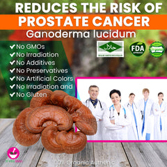 Ganoderma lucidum 100 Grams 100% Organic Authenic