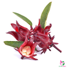 Hibiscus Sabdariffa (Roselle) Flower 30 Teabags