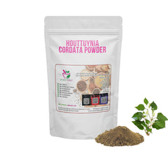 Houttuynia Cordata Powder 100 Grams 100% Organic Authenic