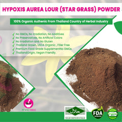 Hypoxis aurea Lour (star grass) Powder 100 Grams 100% Organic Authenic